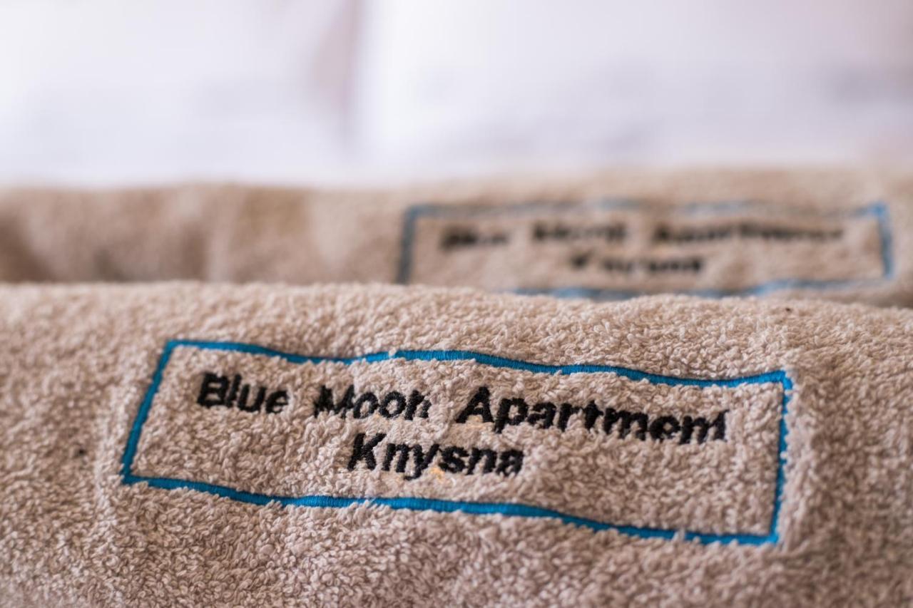 Blue Moon Apartments Knysna Exterior photo